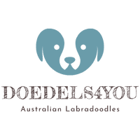 doodles4you logo